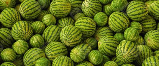 Many big sweet green watermelons  : Stock Photo or Stock Video Download rcfotostock photos, images and assets rcfotostock | RC Photo Stock.: