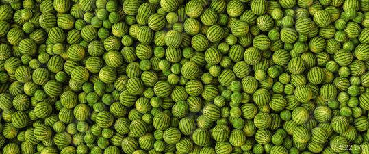 Many big sweet green watermelons and one cut, top view, banner size  : Stock Photo or Stock Video Download rcfotostock photos, images and assets rcfotostock | RC Photo Stock.: