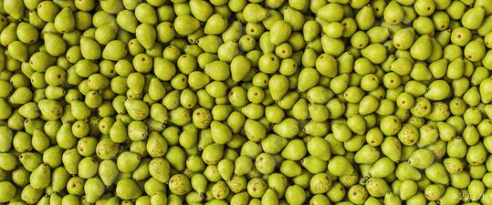 many Pears as a background, banner size  : Stock Photo or Stock Video Download rcfotostock photos, images and assets rcfotostock | RC Photo Stock.: