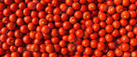 Many red tomatoes are for sale in the supermarket, banner size  : Stock Photo or Stock Video Download rcfotostock photos, images and assets rcfotostock | RC Photo Stock.: