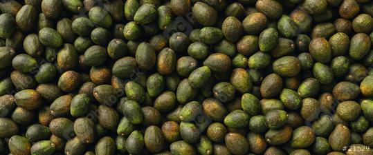 Many ripe avocados as a fruit background texture panorama, banner size  : Stock Photo or Stock Video Download rcfotostock photos, images and assets rcfotostock | RC Photo Stock.: