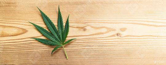 Mature Marijuana leaf on wooden backgroundt. banner size, copyspace for your individual text.  : Stock Photo or Stock Video Download rcfotostock photos, images and assets rcfotostock | RC Photo Stock.: