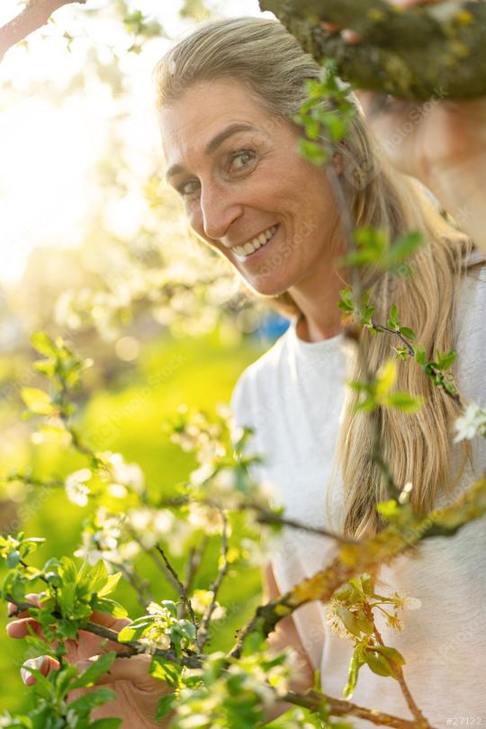 Mature woman smiling in an apple tree in blossom during spring  : Stock Photo or Stock Video Download rcfotostock photos, images and assets rcfotostock | RC Photo Stock.: