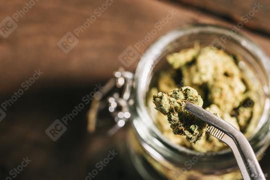 Medicinal Cannabis bud holding by a tweezers  : Stock Photo or Stock Video Download rcfotostock photos, images and assets rcfotostock | RC Photo Stock.: