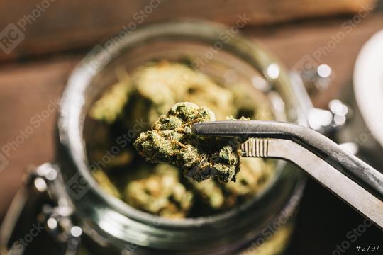 Medicinal Marijuana Weed Cannabis bud holding by a tweezers  : Stock Photo or Stock Video Download rcfotostock photos, images and assets rcfotostock | RC Photo Stock.: