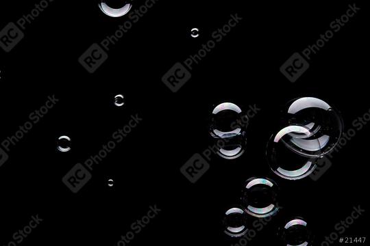 MG7853  : Stock Photo or Stock Video Download rcfotostock photos, images and assets rcfotostock | RC Photo Stock.: