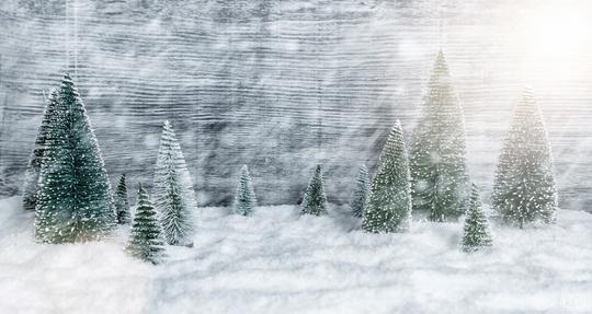 Miniature snowy winter Forest Landscape, with copy space, christmas concept image  : Stock Photo or Stock Video Download rcfotostock photos, images and assets rcfotostock | RC Photo Stock.: