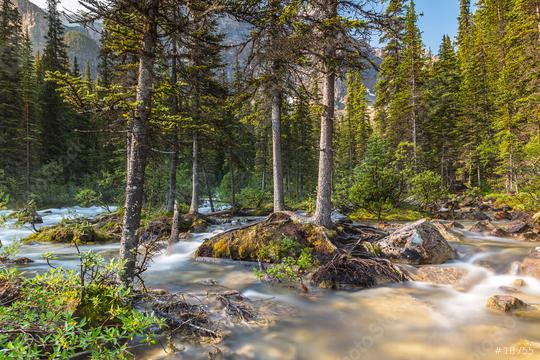 moraine lake brook in the woods with rocky mountains at banff canada   : Stock Photo or Stock Video Download rcfotostock photos, images and assets rcfotostock | RC Photo Stock.: