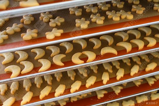 Multiple trays of freshly baked Christmas cookies in various festive shapes, such as moons and stars, are cooling on silicone baking mats in a bakery, ready for packaging or decorating  : Stock Photo or Stock Video Download rcfotostock photos, images and assets rcfotostock | RC Photo Stock.: