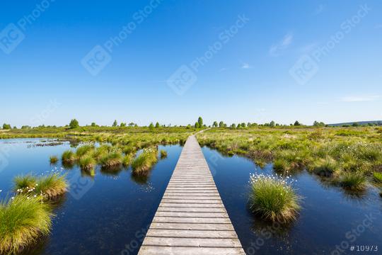National Park Hautes Fagnes at spring  : Stock Photo or Stock Video Download rcfotostock photos, images and assets rcfotostock | RC Photo Stock.: