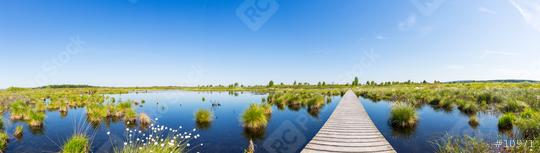 National Park Hautes Fagnes in Belgium  : Stock Photo or Stock Video Download rcfotostock photos, images and assets rcfotostock | RC Photo Stock.:
