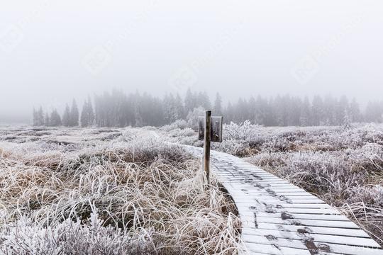Nature reserve Hohes Venn in winter time with hoarfrost pathway  : Stock Photo or Stock Video Download rcfotostock photos, images and assets rcfotostock | RC Photo Stock.: