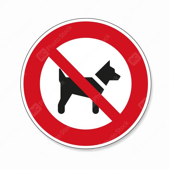 No dogs allowed. Dogs or pets not allowed in this area, prohibition sign on white background. Vector illustration. Eps 10 vector file.  : Stock Photo or Stock Video Download rcfotostock photos, images and assets rcfotostock | RC Photo Stock.: