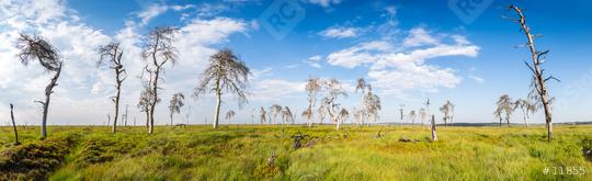 Noir Flohay (Hautes Fagnes) panorama   : Stock Photo or Stock Video Download rcfotostock photos, images and assets rcfotostock | RC Photo Stock.: