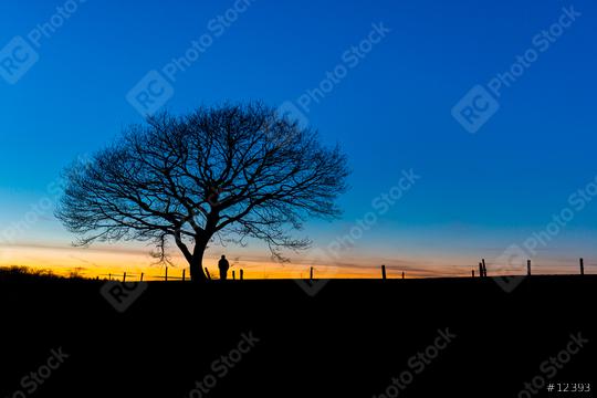 oak tree with a standing person on a winter sunset  : Stock Photo or Stock Video Download rcfotostock photos, images and assets rcfotostock | RC Photo Stock.: