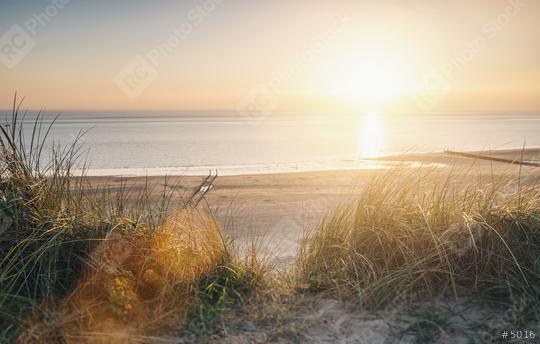 ocean view at sunset over the sand dunes on the Baltic sea  : Stock Photo or Stock Video Download rcfotostock photos, images and assets rcfotostock | RC Photo Stock.: