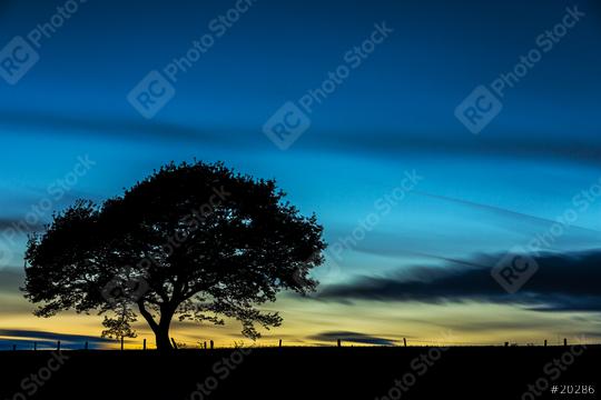 old tree silhouette at colorful sunset blue hour with cloudy Sky in summer  : Stock Photo or Stock Video Download rcfotostock photos, images and assets rcfotostock | RC Photo Stock.: