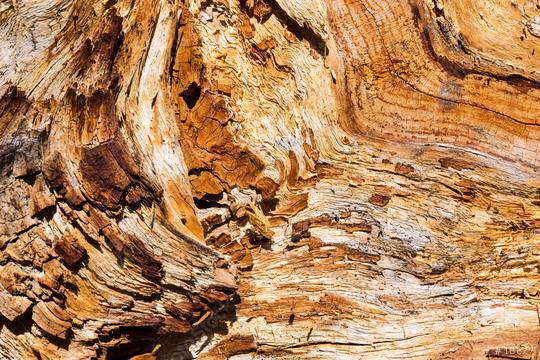 old wood structure texture  : Stock Photo or Stock Video Download rcfotostock photos, images and assets rcfotostock | RC Photo Stock.: