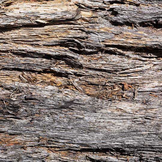 old wood with cracks   : Stock Photo or Stock Video Download rcfotostock photos, images and assets rcfotostock | RC Photo Stock.: