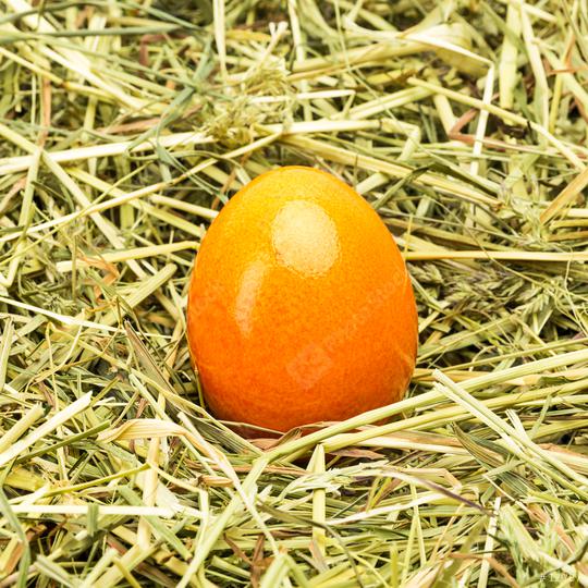 orange easter egg lies on hay  : Stock Photo or Stock Video Download rcfotostock photos, images and assets rcfotostock | RC Photo Stock.: