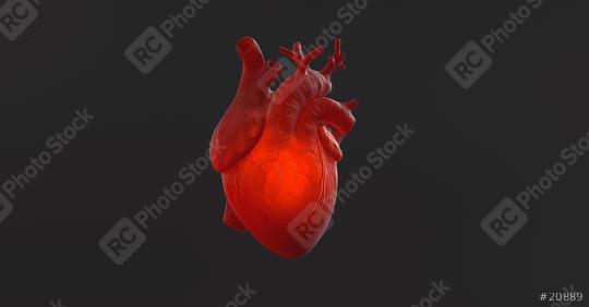 Organic Anatomical human Heart beat with glow inside. Anatomy and medicine concept image.   : Stock Photo or Stock Video Download rcfotostock photos, images and assets rcfotostock | RC Photo Stock.: