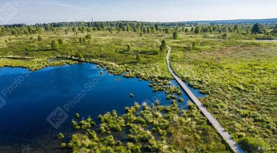Panorama bug moor landscape as a panorama at the Hohes Venn with lake, trees and a trail  : Stock Photo or Stock Video Download rcfotostock photos, images and assets rcfotostock | RC Photo Stock.: