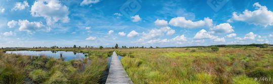 Panoramic view of the high Venn (Hautes fagnes) a bog landscape at the Eifel in belgium at summer  : Stock Photo or Stock Video Download rcfotostock photos, images and assets rcfotostock | RC Photo Stock.: