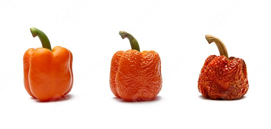 paprika aging orange collage  : Stock Photo or Stock Video Download rcfotostock photos, images and assets rcfotostock | RC Photo Stock.:
