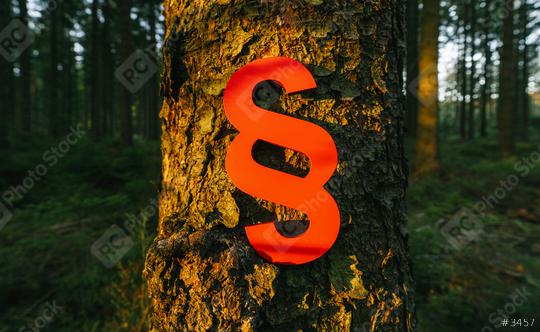 paragraph sign of Law and Justice on a tree trunk at the deep forest at sunset  : Stock Photo or Stock Video Download rcfotostock photos, images and assets rcfotostock | RC Photo Stock.: