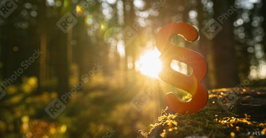 paragraph symbol of Law and Justice in to the deep forest sun on a tree trunk, copyspace for your individual text.  : Stock Photo or Stock Video Download rcfotostock photos, images and assets rcfotostock | RC Photo Stock.: