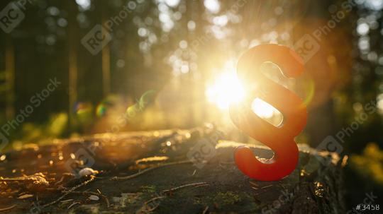 paragraph symbol of Law and Justice in to the forest sun on a tree trunk, copyspace for your individual text.  : Stock Photo or Stock Video Download rcfotostock photos, images and assets rcfotostock | RC Photo Stock.: