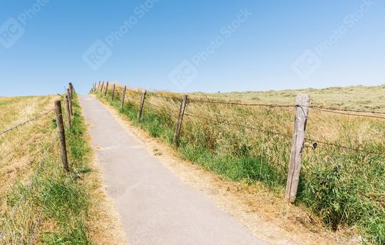 Path into the...  : Stock Photo or Stock Video Download rcfotostock photos, images and assets rcfotostock | RC Photo Stock.: