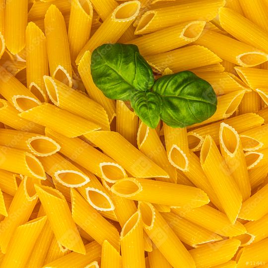 penne integral pasta with basil leaf  : Stock Photo or Stock Video Download rcfotostock photos, images and assets rcfotostock | RC Photo Stock.: