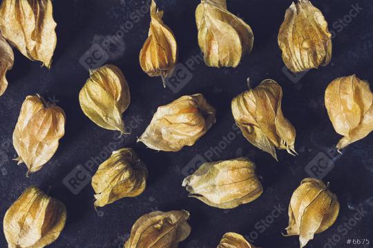 Physalis fruit (Physalis Peruviana) on dark background  : Stock Photo or Stock Video Download rcfotostock photos, images and assets rcfotostock | RC Photo Stock.: