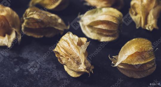 Physalis fruits (Physalis Peruviana) on dark background  : Stock Photo or Stock Video Download rcfotostock photos, images and assets rcfotostock | RC Photo Stock.: