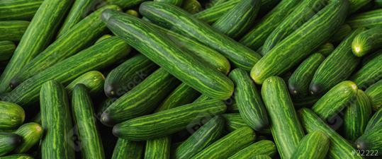pile of cucumbers at market  : Stock Photo or Stock Video Download rcfotostock photos, images and assets rcfotostock | RC Photo Stock.: