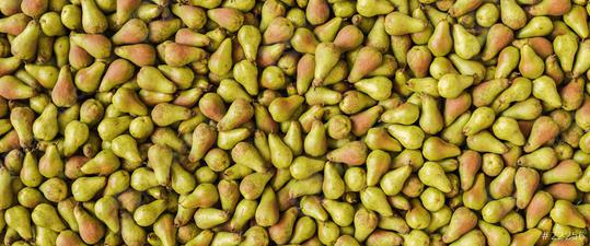 pile of Pears, banner size  : Stock Photo or Stock Video Download rcfotostock photos, images and assets rcfotostock | RC Photo Stock.: