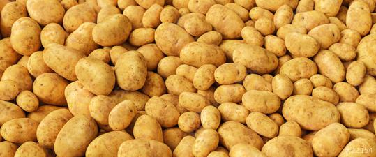 pile of Potatoes on a market  : Stock Photo or Stock Video Download rcfotostock photos, images and assets rcfotostock | RC Photo Stock.:
