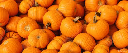pile of pumpkins at a market  : Stock Photo or Stock Video Download rcfotostock photos, images and assets rcfotostock | RC Photo Stock.: