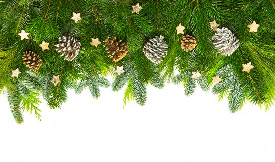 pine branches christmas background  : Stock Photo or Stock Video Download rcfotostock photos, images and assets rcfotostock | RC Photo Stock.: