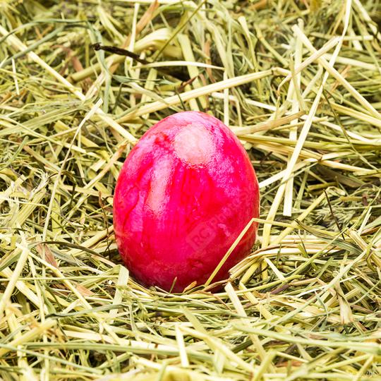 pink easter egg on hay  : Stock Photo or Stock Video Download rcfotostock photos, images and assets rcfotostock | RC Photo Stock.: