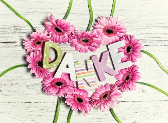 Pink gerbera flowers arranged in a heart shape around the word "Danke" in colorful decorative letters, placed on a rustic white wooden background, expressing gratitude with a cheerful design
  : Stock Photo or Stock Video Download rcfotostock photos, images and assets rcfotostock | RC Photo Stock.: