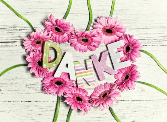 Pink gerbera flowers arranged in a heart shape around the word "Danke" in colorful decorative letters, placed on a rustic white wooden background, expressing gratitude with a cheerful design  : Stock Photo or Stock Video Download rcfotostock photos, images and assets rcfotostock | RC Photo Stock.: