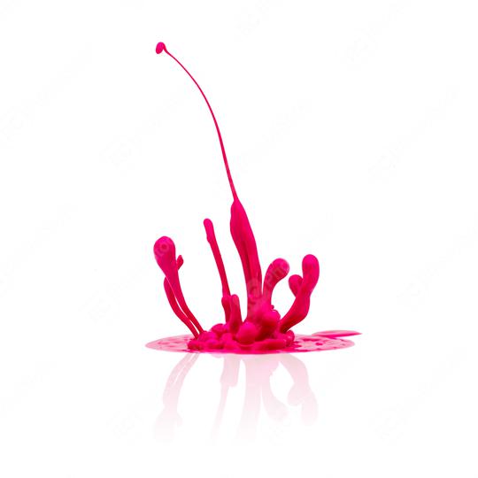 pink paint splashing isolated on white  : Stock Photo or Stock Video Download rcfotostock photos, images and assets rcfotostock | RC Photo Stock.: