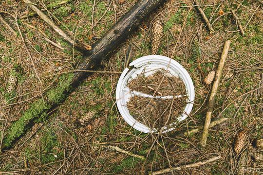plastic Plate rotted in the forest, pollution and Environment concept  : Stock Photo or Stock Video Download rcfotostock photos, images and assets rcfotostock | RC Photo Stock.:
