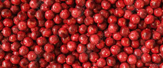 Pomegranate garnet fruit background pattern, banner size  : Stock Photo or Stock Video Download rcfotostock photos, images and assets rcfotostock | RC Photo Stock.:
