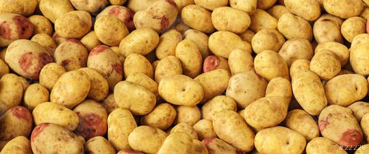 potatoes sold on market at a pile  : Stock Photo or Stock Video Download rcfotostock photos, images and assets rcfotostock | RC Photo Stock.: