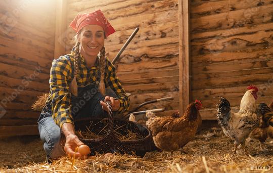 Proud chicken farmer woman showing the organic eggs her hens produced in a henhouse  : Stock Photo or Stock Video Download rcfotostock photos, images and assets rcfotostock | RC Photo Stock.: