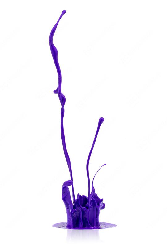 purple paint splashing on white  : Stock Photo or Stock Video Download rcfotostock photos, images and assets rcfotostock | RC Photo Stock.: