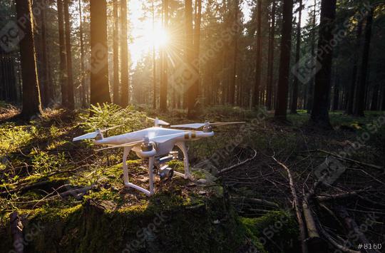 Quadrocopter drone on a tree trunk at sunset  : Stock Photo or Stock Video Download rcfotostock photos, images and assets rcfotostock | RC Photo Stock.: